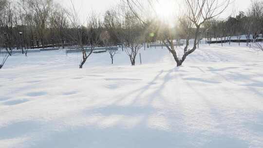 雪地雪景