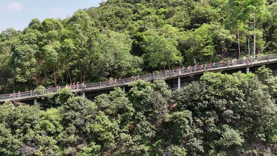 广东观音山国家森林公园第十二届登山大赛