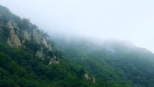 4k 户外森林山体公园自然风光