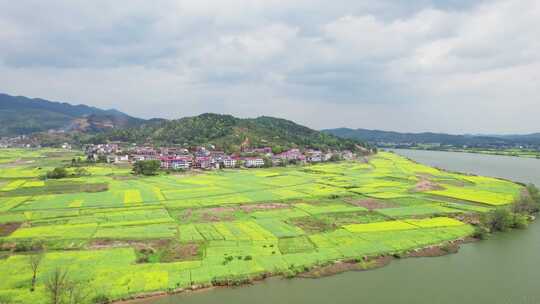 湖南省衡东县杨林镇乡村田园油菜花4k航拍