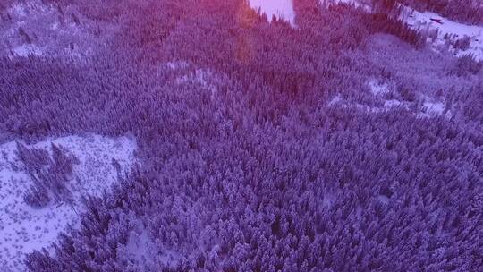 美丽的大自然冬天冰雪雪景