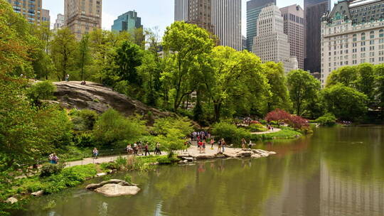中央公园的池塘及周围建筑