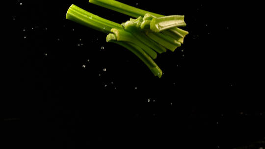 芹菜 香芹 蔬菜 食品 菜品 绿色视频素材模板下载