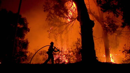 夜晚消防员在森林里灭火视频素材模板下载