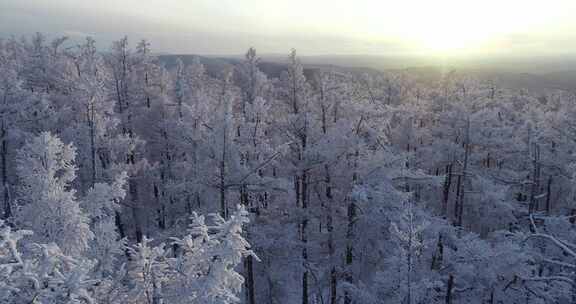 航拍大兴安岭冰雪雾凇、雪凇