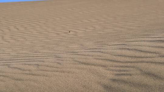 沙漠沙丘表面的平行沙纹线
