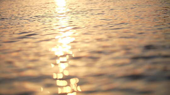 夕阳金色的水面波光粼粼