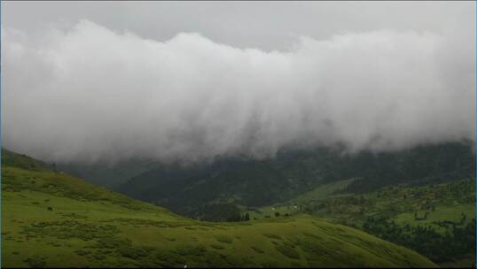 高原草坪山间雾气