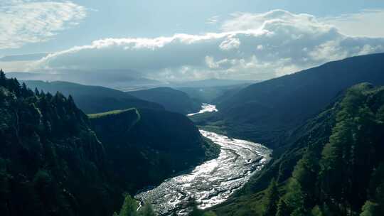 山川森林