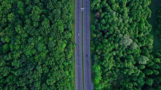 公路运输的卡车树林贯穿森林的道路高速公路视频素材模板下载