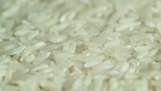大米水稻粮食 五常大米