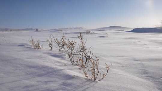 极寒天气下风吹动雪花