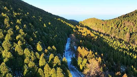 航拍冬天江西旅游庐山树林雪景道路