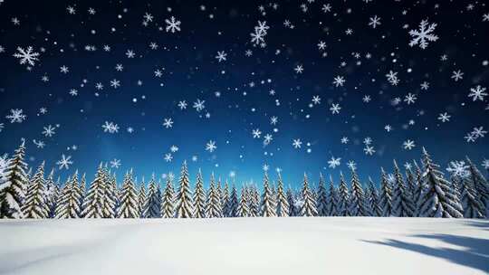 雪景中的雪地与雪松林