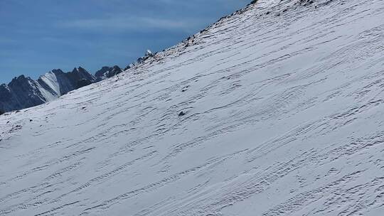 雪宝顶徒步旅行素材