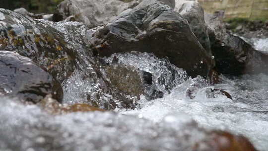 河流升格 河流 溪流 溪水