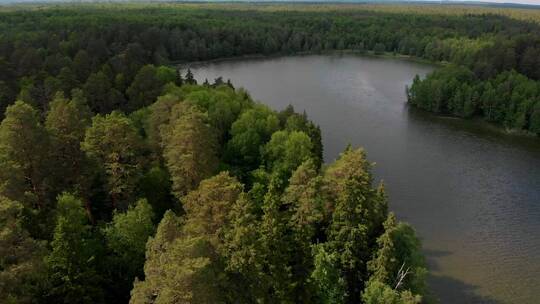 美丽的森林和湖泊视频素材模板下载