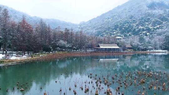 杭州八卦田遗址4K雪景航拍视频