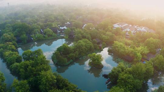 杭州西溪湿地初夏晨雾美景航拍