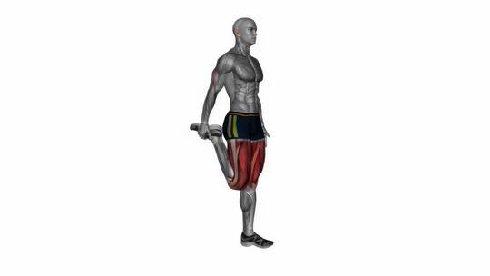 人体站立拉伸股四头肌侧面角度健身3D演示