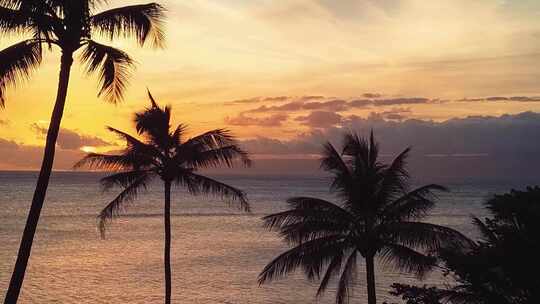 三亚海边日落夕阳棕榈树椰子树唯美晚霞