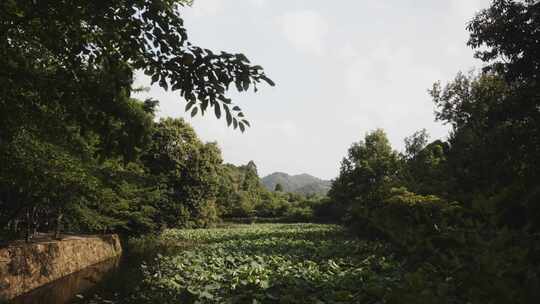 岚山，京都，日本，河