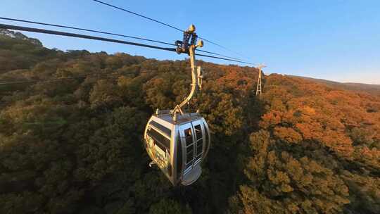 跟随索道缆车上秋天的南京紫金山