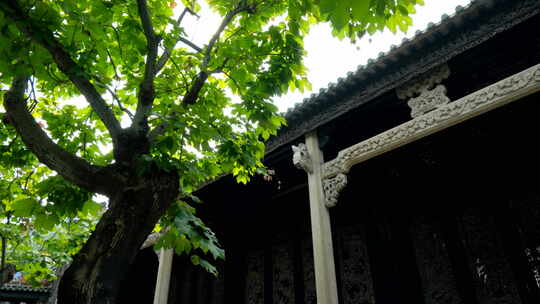 广州 陈家祠 陈氏书院