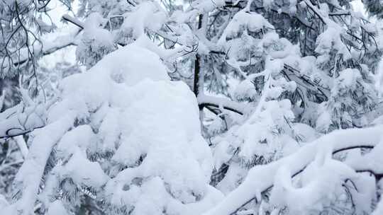 伏牛山冬季雪景雾凇