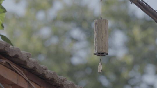人文意境空镜头