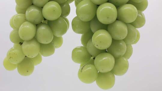 绿葡萄微距特写素材