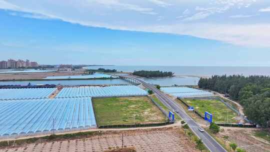 航拍一辆汽车行驶在乡村农田种植园