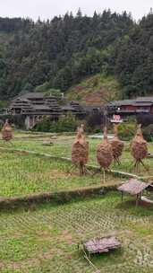 竖版航拍柳州程阳八寨5A景区