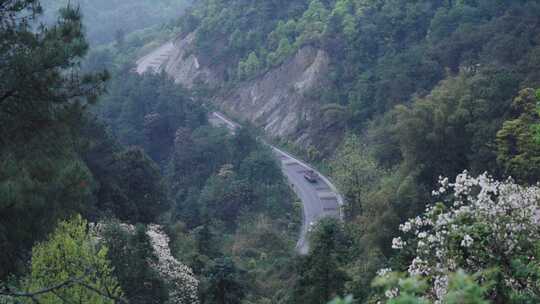 山路弯道车流