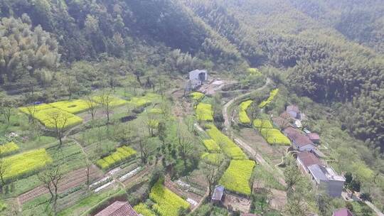 衢州市衢江区东平村