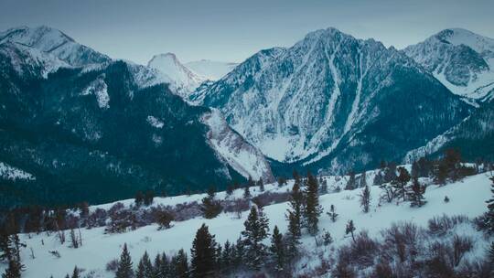 冬季雪景风景山脉雪山滑雪雪地东北大森林视频素材模板下载