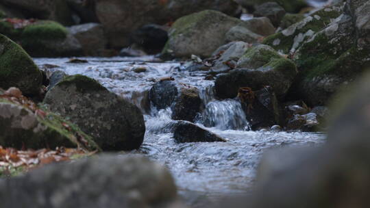 韩国五台山秋景 山泉水流冲刷溪石 青苔落叶