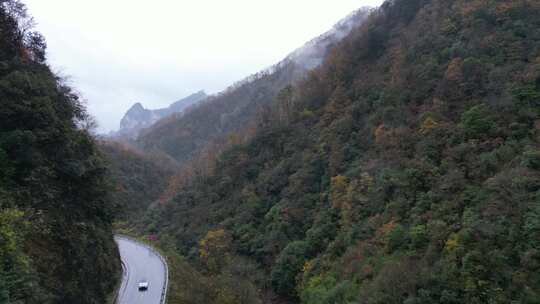 漫山红叶巴中光雾山附近