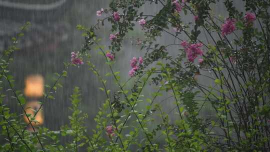 雨中的岭南园林