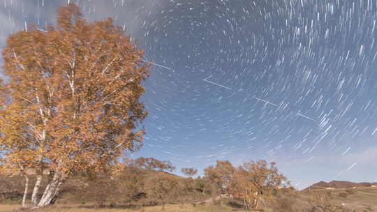 秋夜树木星空星轨景象