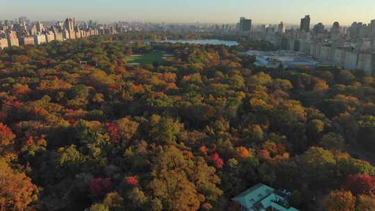 航拍纽约中央公园树林摩天大楼城市天际线