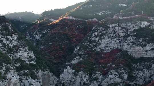 秋日红叶森林航拍满山红叶