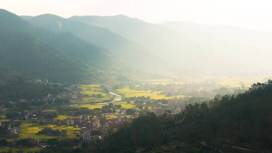 稻田远景金秋稻田延时4K