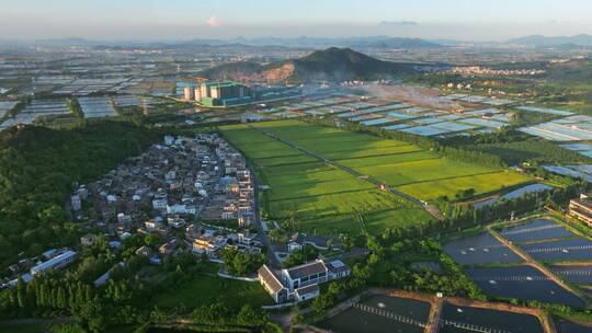 乡村振兴宣传空镜稻田村居旅游产业