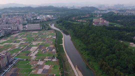 航拍深圳龙华区观澜城市绿化及建筑