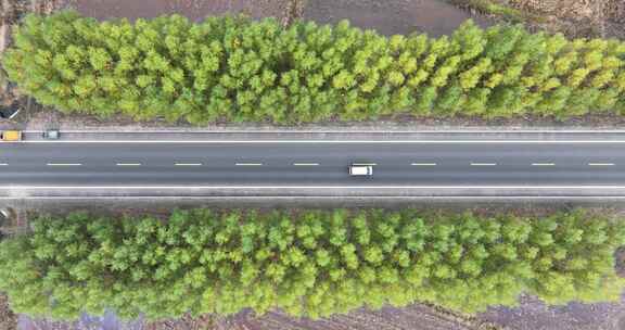 内蒙公路白桦林俯拍