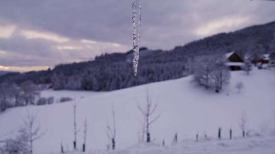 冰柱，雪，景观，森林