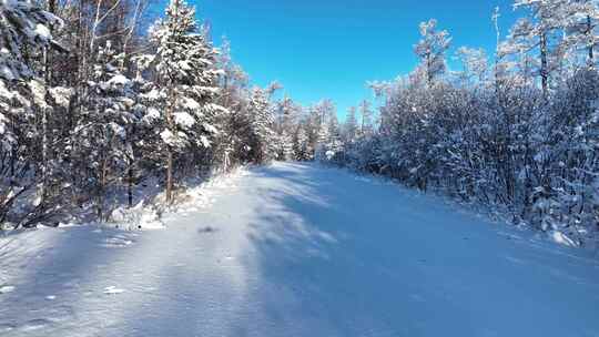 冬季林区交通林间道路山路雪路冰雪路面