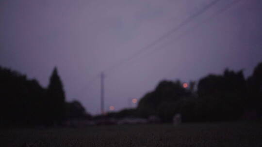 植物森林治愈雨水唯美意境清新自然