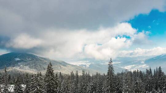 在白雪覆盖的树木景观上移动的云彩
